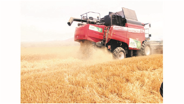 Zim Records 468 000t Wheat Harvest