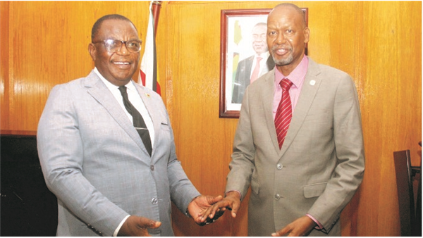 Zim Development Trajectory Excites Sadc