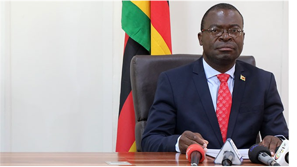Minister Hails Diaspora Contribution